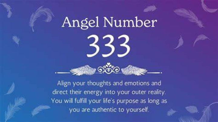 333