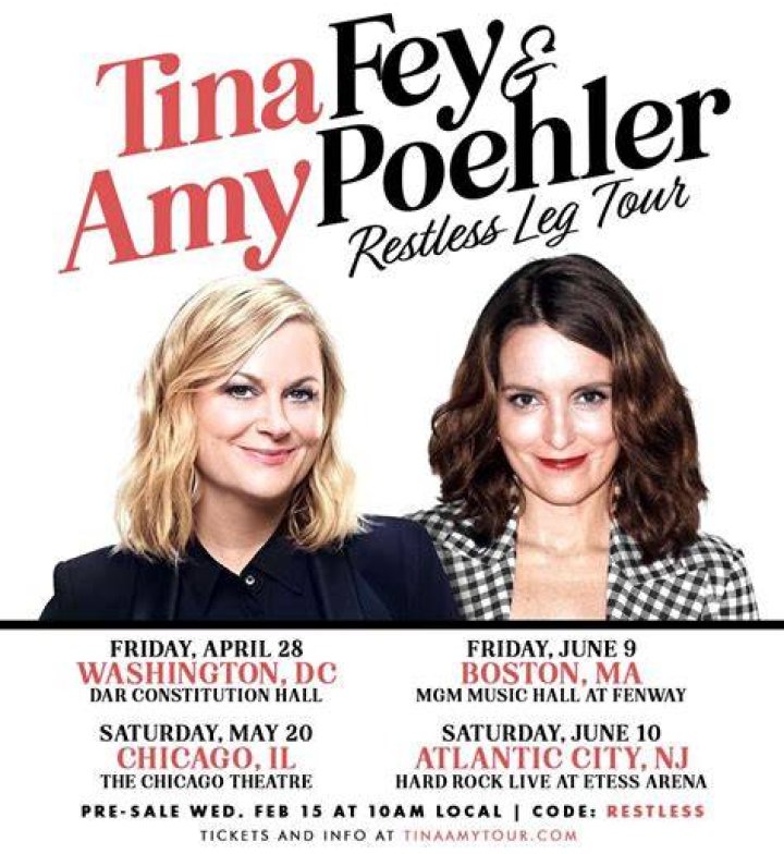Amy Poehler comedy