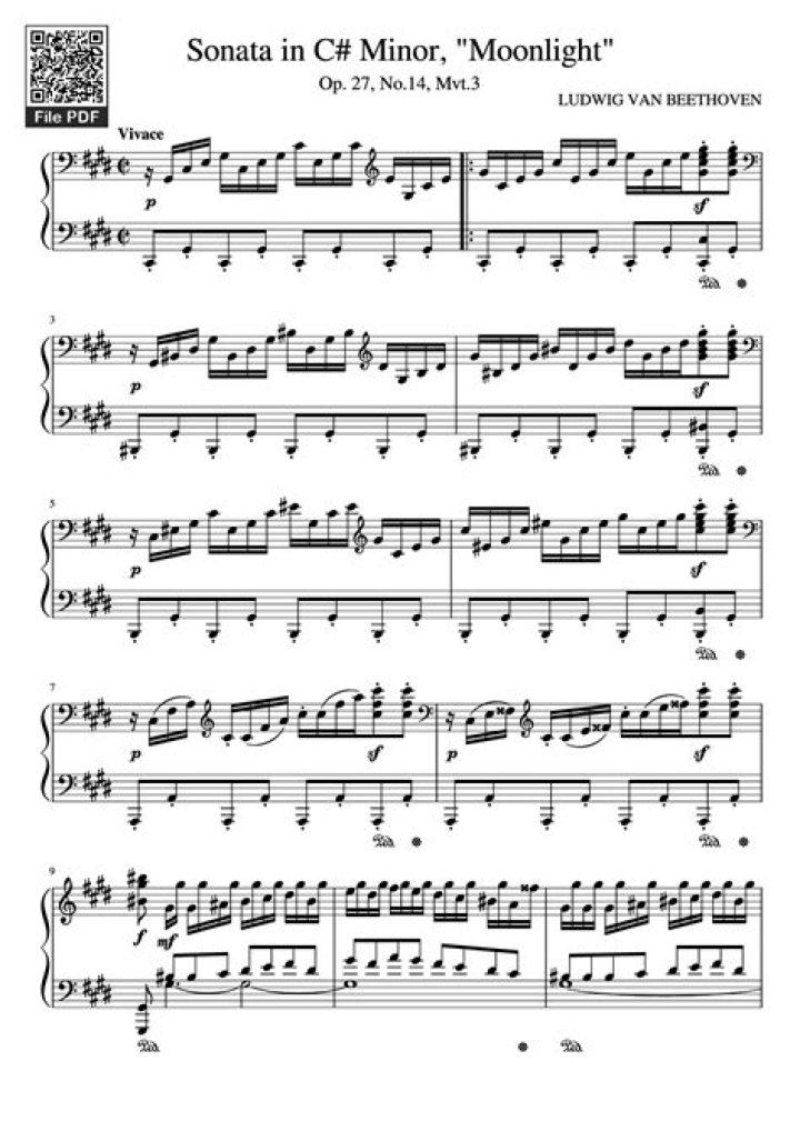Beethoven - Moonlight Sonata (Insane Dubstep Remix) - Techno Classical Music