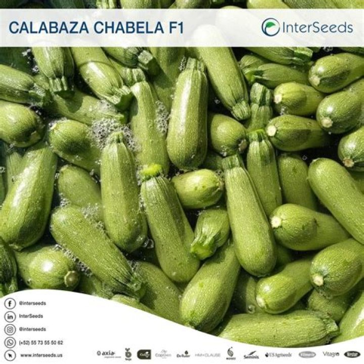 Chabela