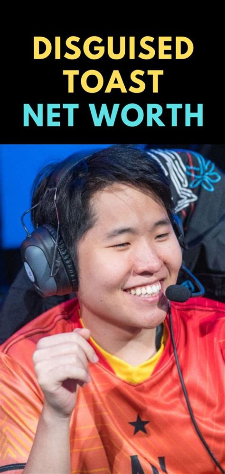 Disguised Toast Height, Net Worth, Girlfriend, Age, Bio 2 Disguised Toast Net Worth