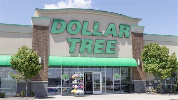 dollar tree subsidiaries