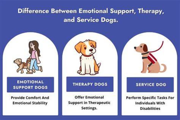 emotional support