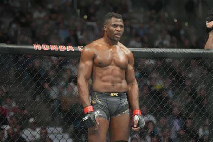 francis ngannou ufc