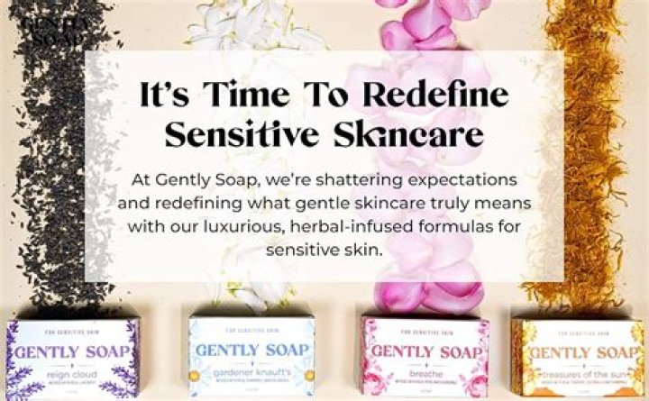 Gently Soap Accessibility Gently Soap Accessibility