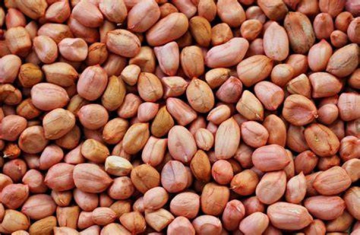 Groundnut benefits Groundnut benefits