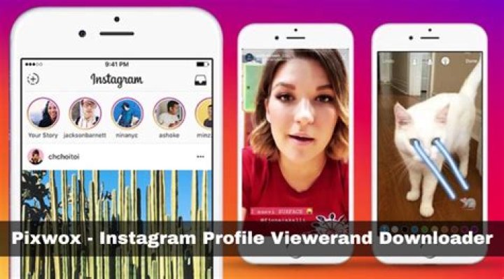 Instagram viewer and downloader