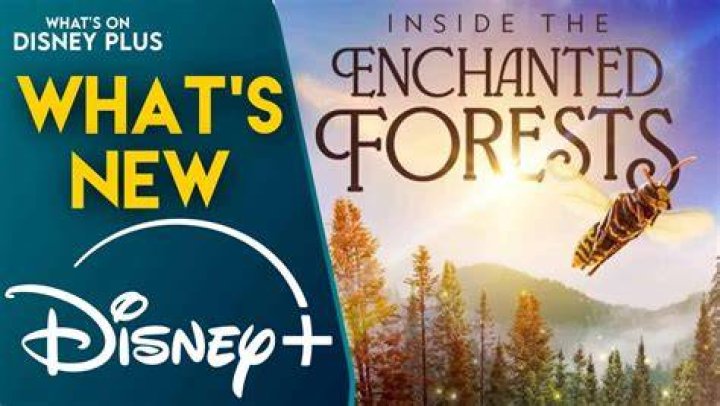 is enchanted on disney plus amy adams