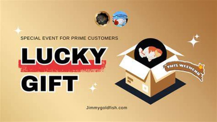 Jimmy Prime Jimmy Prime