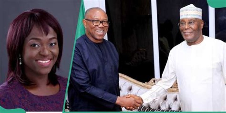 LP chieftain reacts to Peter Obi's meeting with Atiku LP chieftain reacts to Peter Obi's meeting with Atiku