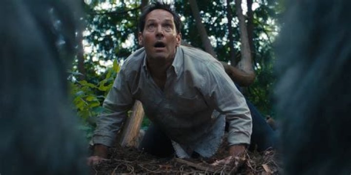 Paul Rudd Health 2023: Does He Have Cancer? Death Hoax Paul Rudd Death Hoax