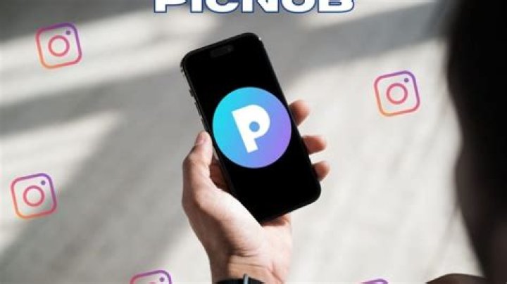 Picnob Instagram viewer tool