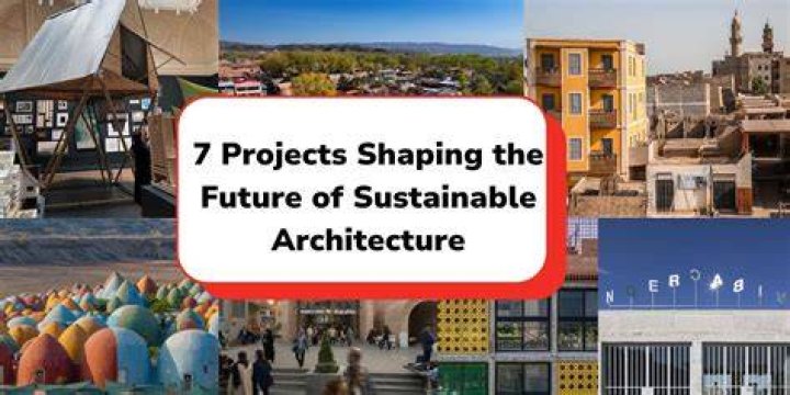 shauna dewit future projects
