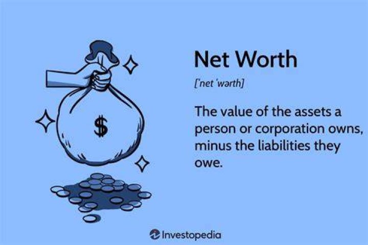 Simbuilder Wikipedia and Networth