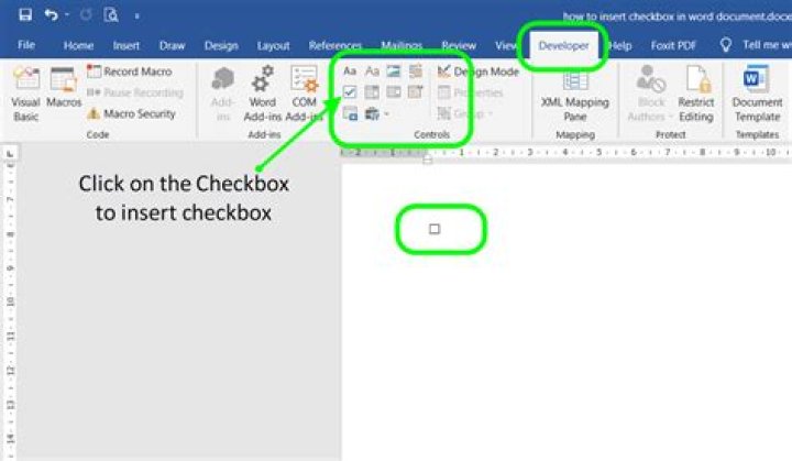 Word insert checkbox Word insert checkbox